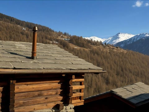 Berghütte – Les Mayens d'Adrien