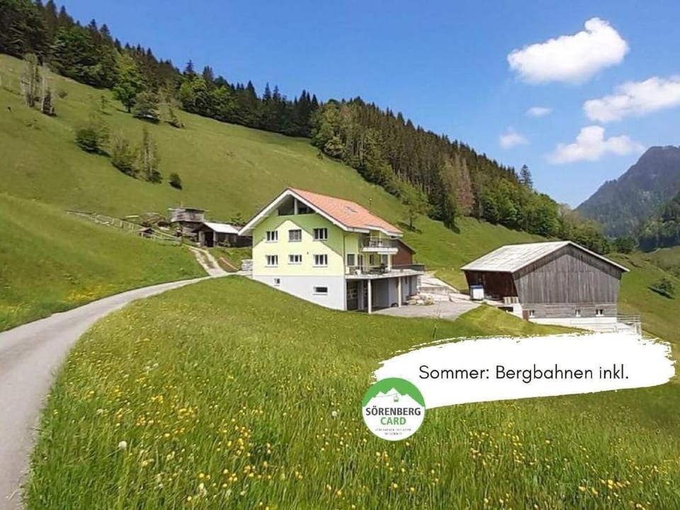 Schwändelifluh - Flühli