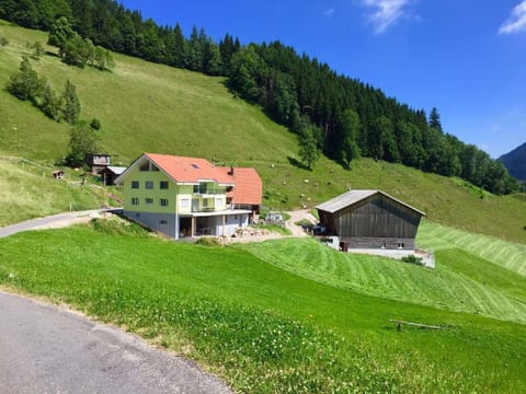 Schwändelifluh