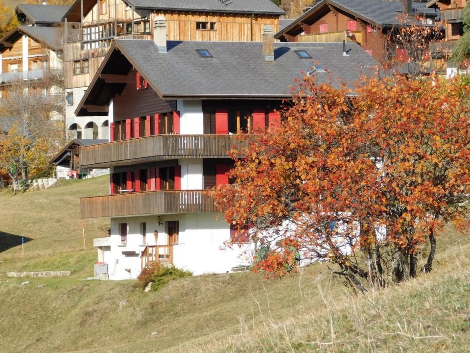 Fernblick - Bellwald