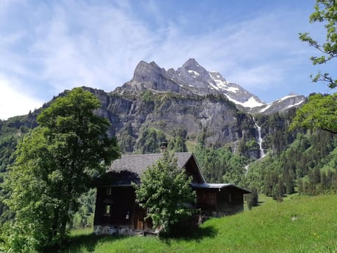 Rietberg 8 Braunwald