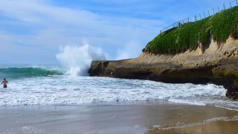 Steps to Sunny Cove Beach! Starbucks, WiFi, Kidfun