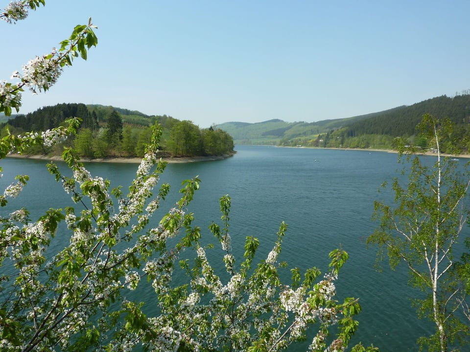 Diemelsee zum Alleinbewohnen - Diemelsee