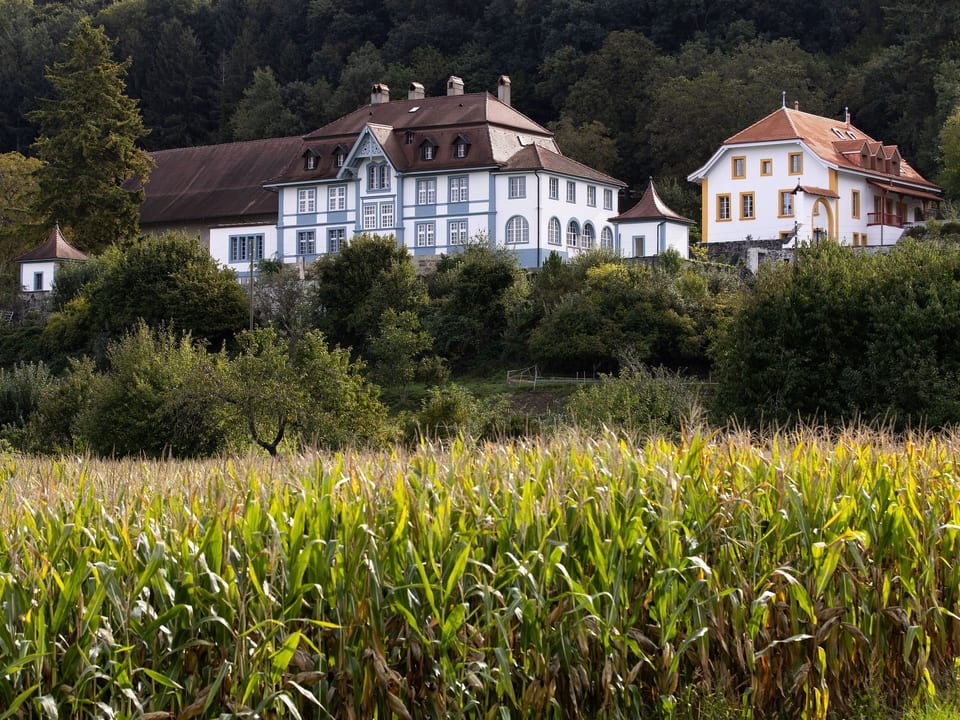 studio Montgolfières - Valbroye