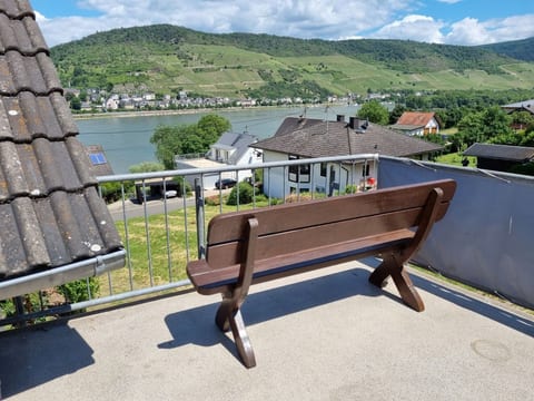 Rheinblick