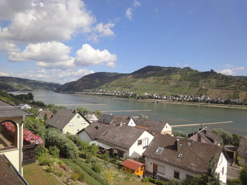 Rheinblick - Oberdiebach