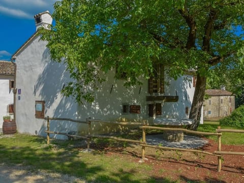 Steinhaus Kotli