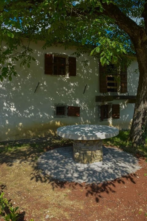 Steinhaus Kotli