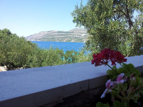 mit Blick auf das Wasser