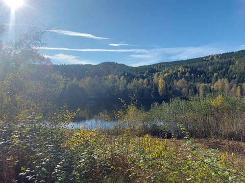 Morsgården