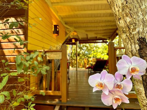 Cabane Aux Etoiles Au Jardin des Colibris (Sternenhütte im Garten der Hummingbi