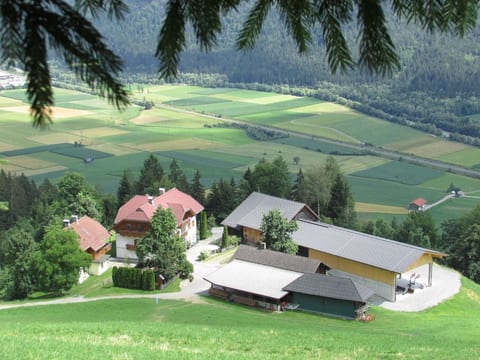 Waldblick in Steinfeld