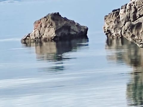 Frankopan Studio