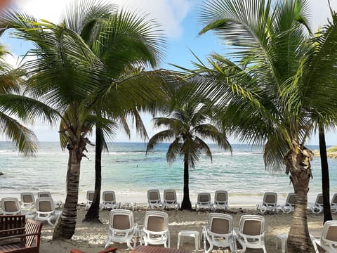 Appart mit Meerblick, Pool und Strand 150m entfernt