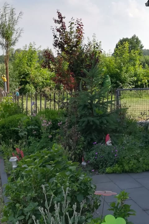 Im Grünen