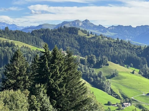 Allegra Appenzell