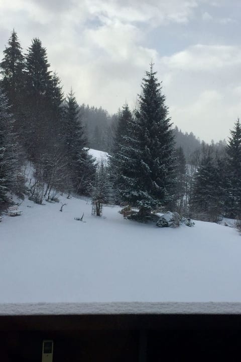 in Frauenberg mit Garten
