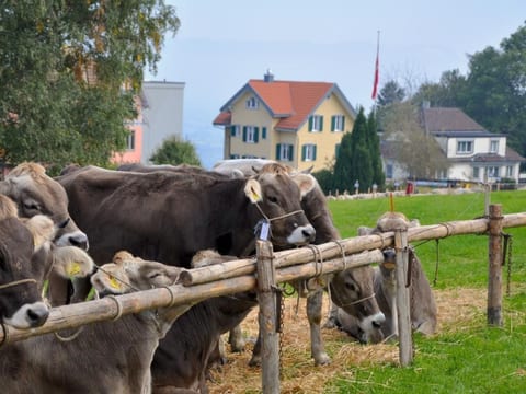 Rätia