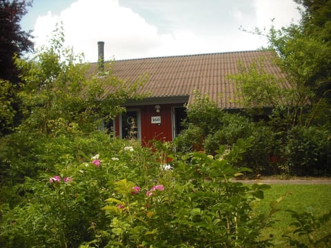 FH Igel - Extertal