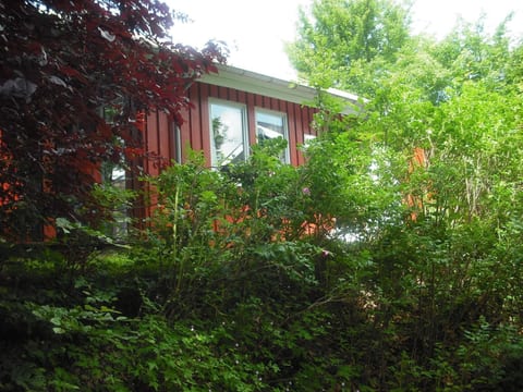 FH Igel - Extertal