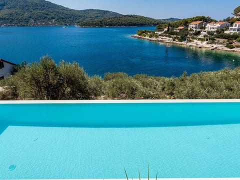 "vila Belveder" mit Infinity-Pool