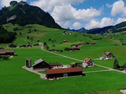 Wis (Stein)