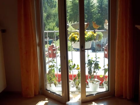 Ferien-Apartment  1