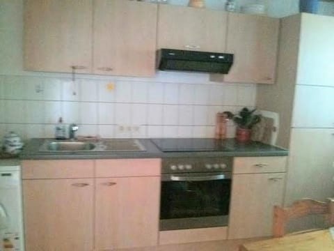 Ferien-Apartment  1