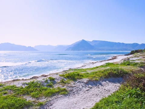 Das Bay House - Luxuriöses Wohnen an der Küste in Kommetjie