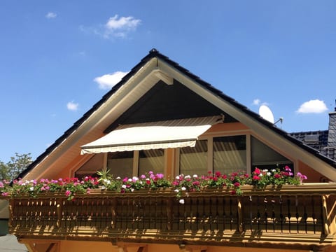 Großzügige Ferienwohnung mit Balkon