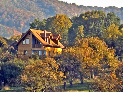 Casa Zollo - nahe den Karpaten Transsilvaniens