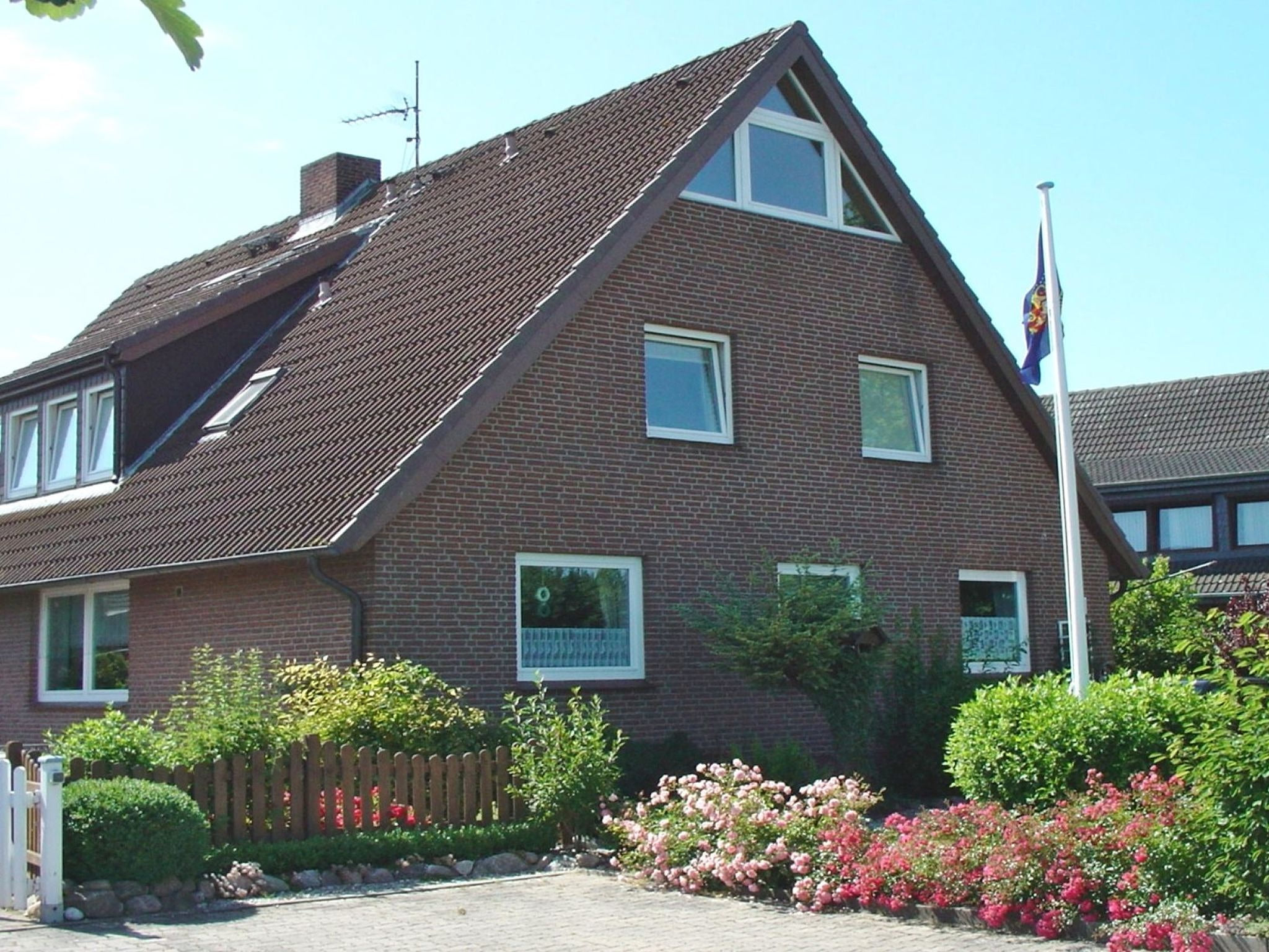 Heringsmöwe in Neue Tiefe