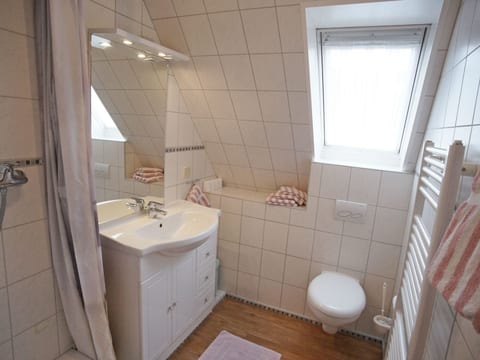 Silbermöwe