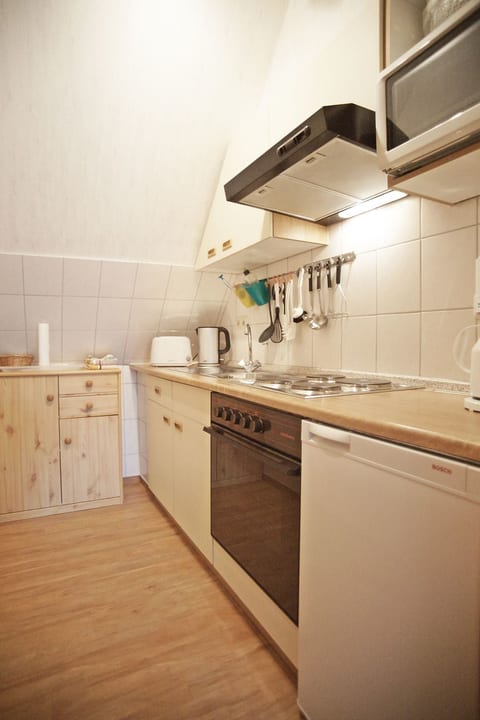 Silbermöwe