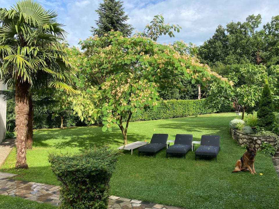 mit Terrasse - Rukavac