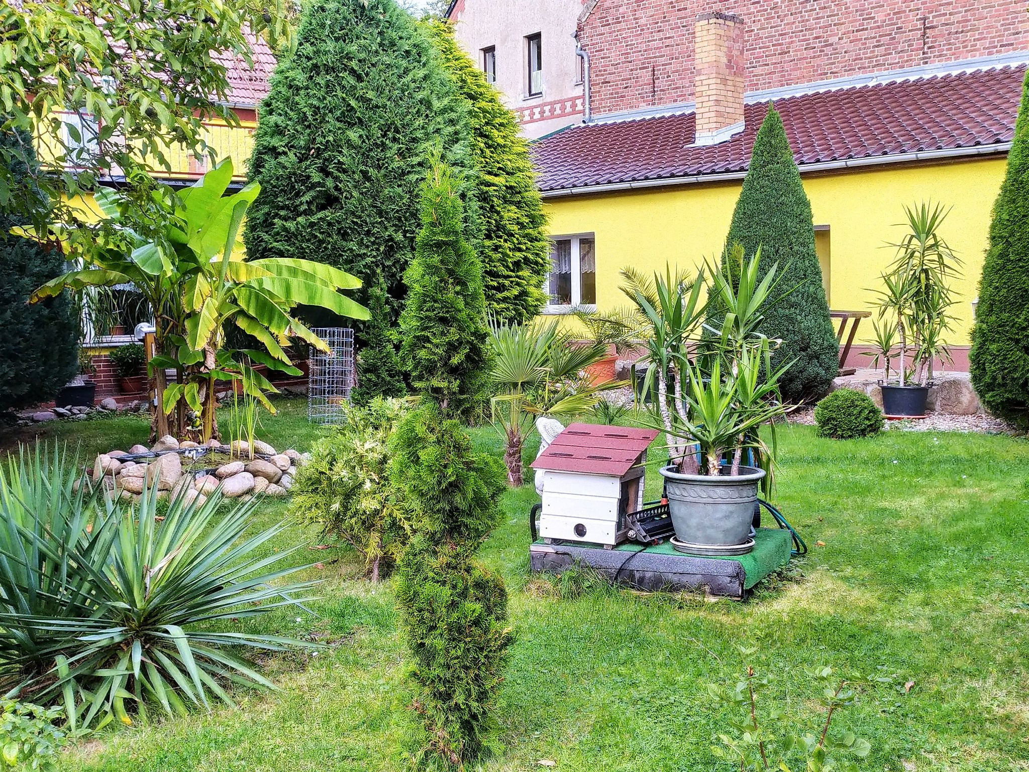 Gemütliche Wohnung mit Terrasse