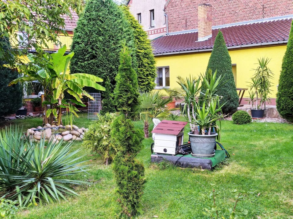 Gemütliche Wohnung mit Terrasse - Herzberg am Harz