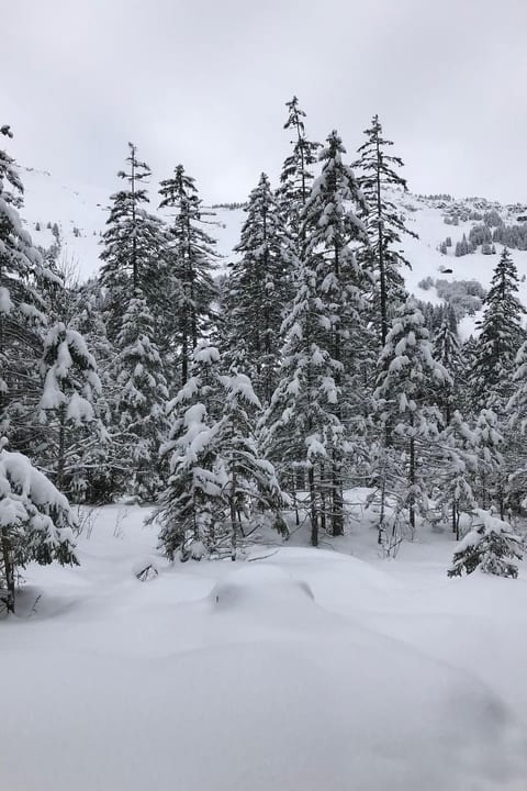 Panorama Adelboden