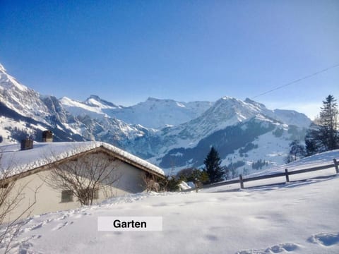 Panorama Adelboden