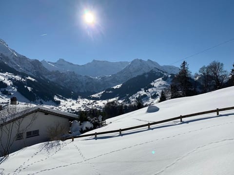 Panorama Adelboden