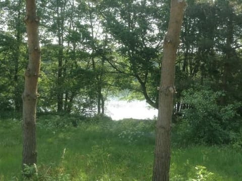 Bungalow Mecklenburgische Seenplatte