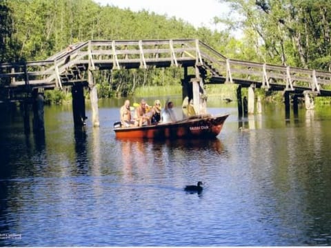 Bungalow Mecklenburgische Seenplatte