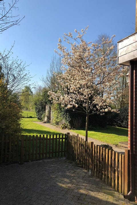Haus am Reithmoor
