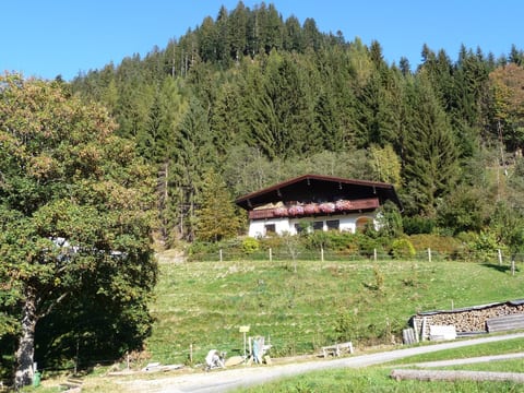 Hans Ebner in Eben im Pongau