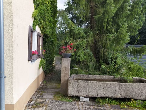 Bürkner