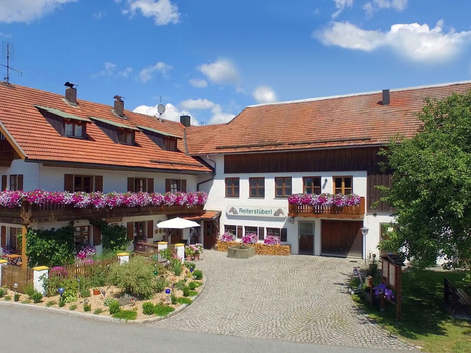 Appartement Dreisessel dans la forêt bavaroise - Neureichenau