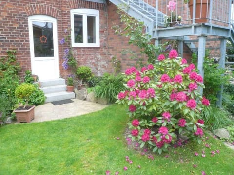 Charmante Wohnung in Dassow mit Terrasse und Gri
