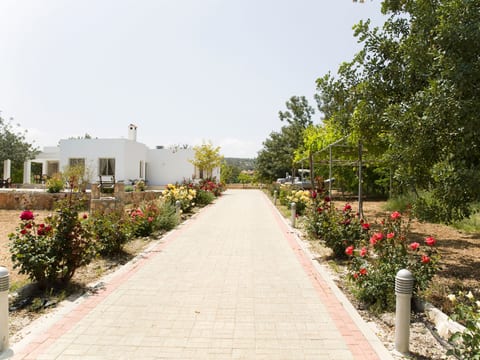 mit Privatpool für 8 Personen ca. 220 m² in Neo Chorio, Halbinsel Akamas