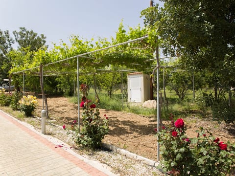 mit Privatpool für 8 Personen ca. 220 m² in Neo Chorio, Halbinsel Akamas