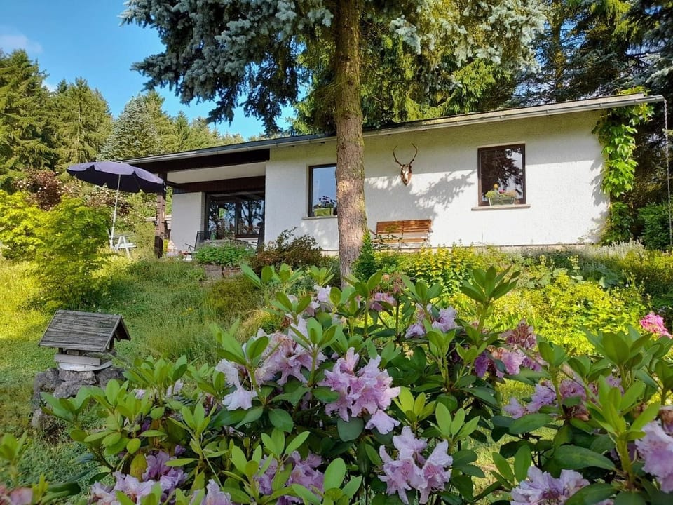 Am Wald gelegenes Ferienhaus Wolf mit Kamin - Bad Elster